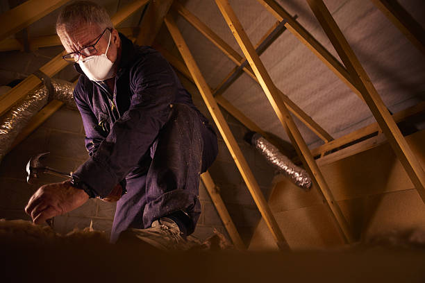 Best Insulation Installation Services in Baldwin, MI